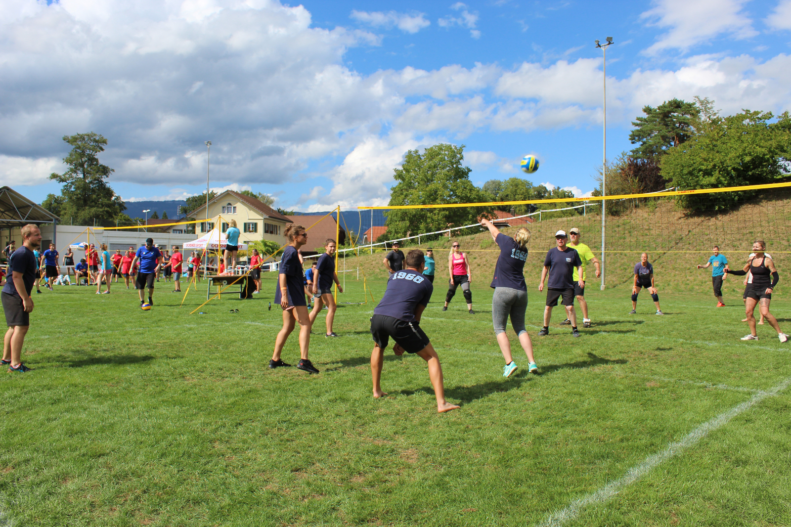 Volley  (102)